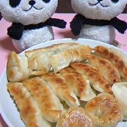 にんにく＆にらなしの餃子なら、においを気にせずにいつでも食べられますね。キャベツで作ってみました。